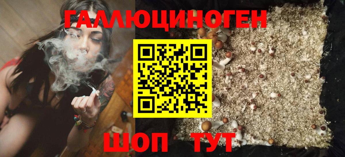 Галлюциногенные грибы Psilocybine cubensis Алатырь