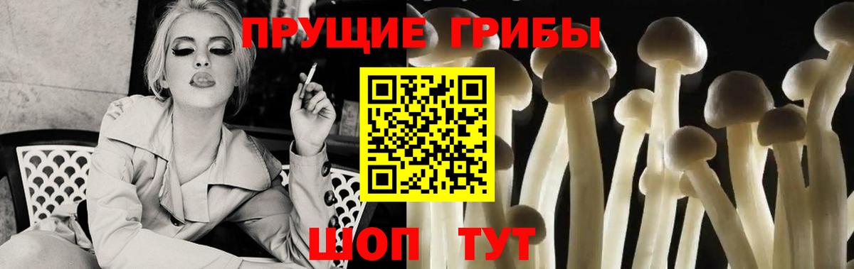 Алатырь  Галлюциногенные грибы Psilocybe  Вход с VPN 